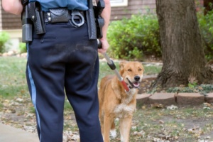 police man holding dog
